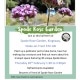 Spode-Rose-Garden-half-term-event-20-02-25