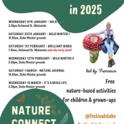 nature-connect-club-activities-225-HSA-project-Stoke