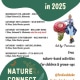 nature-connect-club-activities-225-HSA-project-Stoke