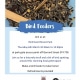 Staffordshire-Wildlife-Trust-Bird-Feeder-and-Walk-March-2025