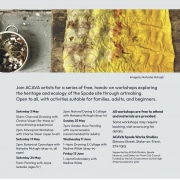 Butterfly-effect-workshops-may-june-2025