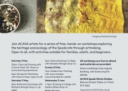 Butterfly-effect-workshops-may-june-2025