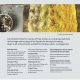 Butterfly-effect-workshops-may-june-2025