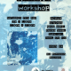 ACAVA-workshop-17May2025