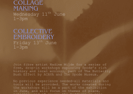 ACAVA-june-workshops