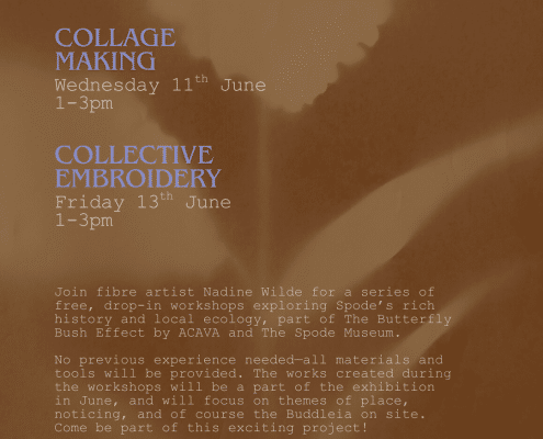 ACAVA-june-workshops