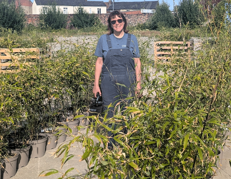 Gemma-Thomas-Brilliant-Bamboo-July-2025
