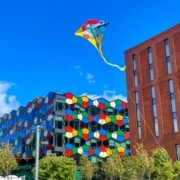smithfield-summer