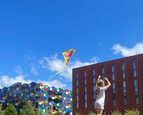 smithfield-summer-1