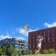 smithfield-summer-1