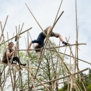 Brilliant-Bamboo-credit-Mark-Robson