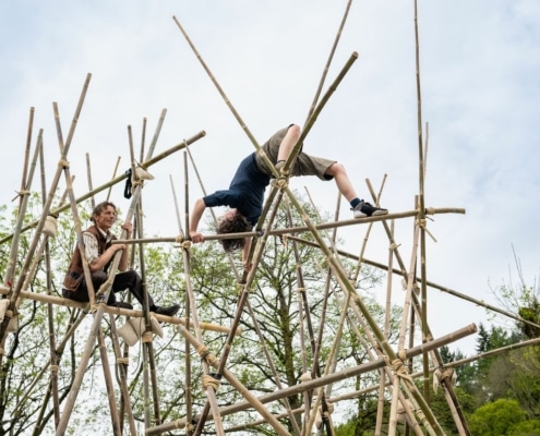 Brilliant-Bamboo-credit-Mark-Robson