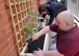 Volunteers-staffs-wildlife-stoke-library-july-2025