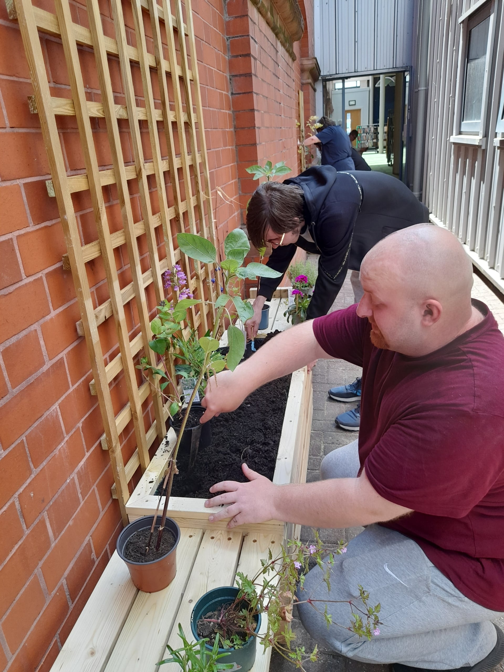 Volunteers-staffs-wildlife-stoke-library-july-2025