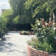 WhatsApp Image 2025-09-24 at 2.34.23 PM Spode-Rose-Garden-2025