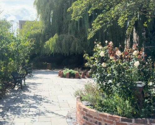 Spode-Rose-Garden-2025