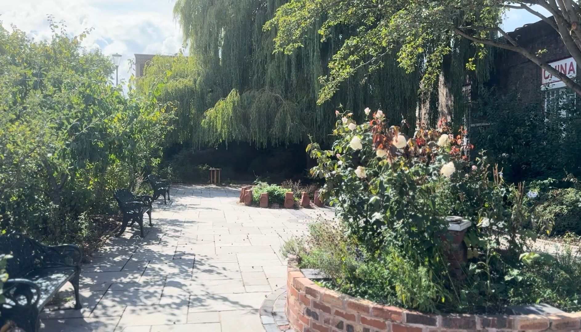 Spode-Rose-Garden-2025