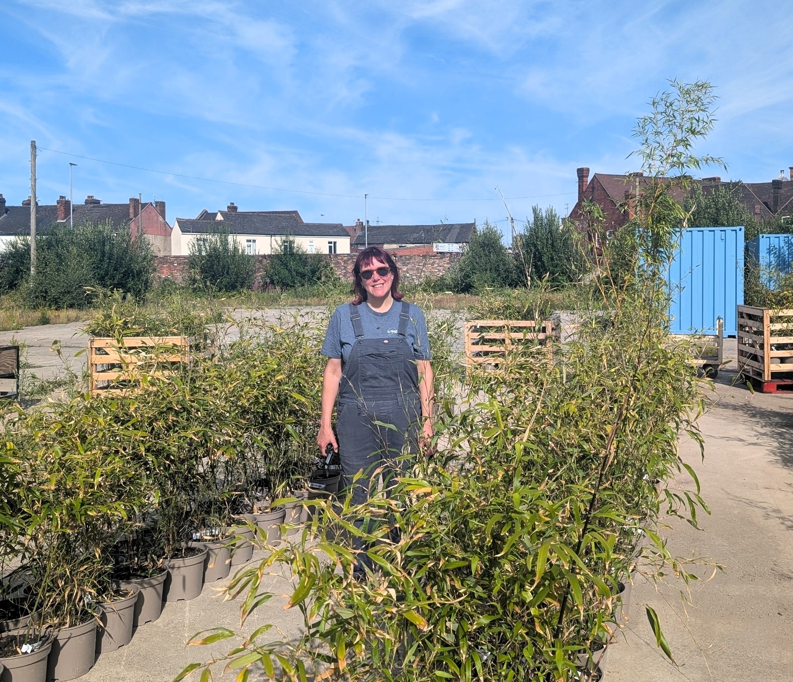 Gemma-Thomas-Brilliant-Bamboo-2025